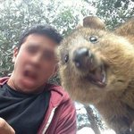 김정우=<b>쿼카</b>