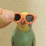<b>온리전</b>이뭐하는곳이야?