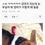 [드루와] <b>판</b> <b>레전드</b>들 보고 싶은 사람 컴온 !!!!