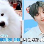 [강다니엘] 강다니엘 방송 나갈때마다 멈무인증 받아<b>오네</b>