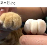 투표 한번만 해줘ㅠ 온클때 <b>ebs</b> vs 선생님