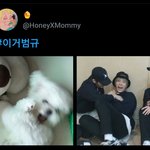 [TXT모아] 이거 범규