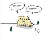 요즘 우리판 이거임