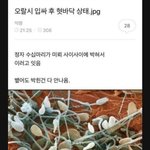 [댓글부탁해] <b>손호준</b> 웃는거 조카 주지훈이랑 똑같다