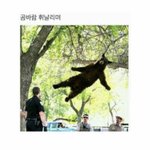 [추반] 얘들ㄹ아 제발 알려줘 컴 히얼 플리즈