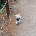 [드루와] 얘<b>등아</b> 모르는애랑 놀때