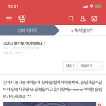 [댓글부탁해] 강아지 글 찾아보는데 조카 충격적이다