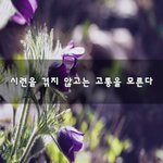 [좋은생각] <b>시련</b>을 겪지 않고는 고통을 모른다~