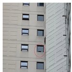 [댓글부탁해] 이<b>고양</b>이 진짜 얼마나 무서웠을까...
