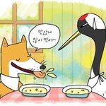 [TXT모아] ❣오후4시 인기가요 TXT출연٩(ˊᗜˋ)و ❣