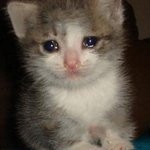 가난하면 돈 때문애 허구한 <b>날</b> 맨날<b>천날</b> 치고박고 싸운다 이제는 ㄹㅇ...