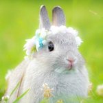 [댓글부탁해] 그 머리에 하양색 긴 <b>두건</b> 같은 모자 쓰고서는 머리...