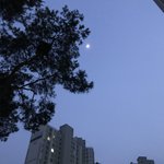 [댓글부탁해] 엄마한테 사랑받고싶어