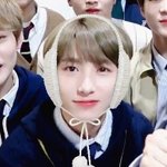 <b>혼란</b>을 틈타 울 애깅