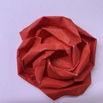 [<b>19</b>] 미국유학 설레는<b>썰</b>4 (인증!)