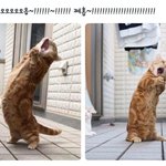 [방탄소년단] ㄹㅇ이제는 수저말고 포크정도면될듯