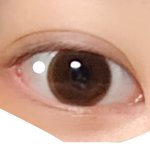 [드루와] 내눈 인라인이지??