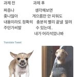 [드루와] 과제 전 후 생각차이 ㅇㄱㄹㅇ