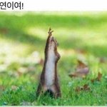 [댓글부탁해] <b>야야</b> 너네 마스크 뭐껴?
