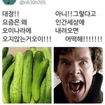 [댓글부탁해] 너네 남자 성격 어떤 게 좋냐