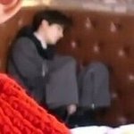 자기 전 마지막 햄<b>토리</b>~