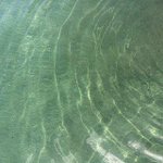 [댓글부탁해] <b>isfp</b>들아 너네 이럼?