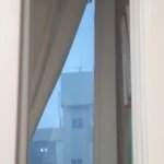 <b>앞집</b>도 일어났나보네 ...^^
