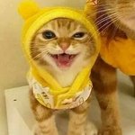짝녀야 내<b>생일날</b> <b>연락</b>줘