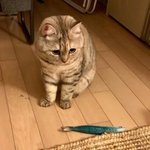 [19] 집에 <b>프린터</b>기