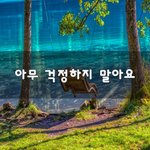 [이것좀봐줘] 아무 걱정하지 말아요~
