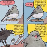 슈가<b>사태</b> 아미 태도 한장요약