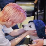 [NCT] <b>태용</b>이랑 강아지 사진 봤어??