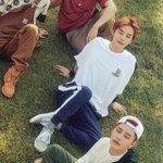큰일났다 정우 햄<b>토리</b> 보면 안된대ㅠㅠㅠㅠ