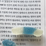 하리보 지렁이<b>젤리</b> 얼려먹우니까 맛있더라