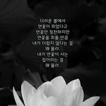 요즘 판에 정 떨어짐
