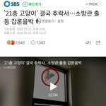 [19] 고양이 구조 소방관<b>출동</b> 어떻게 생각해?