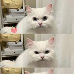세상에서 제일 _같은 꿈 꿨다 ㅅ..ㅂ