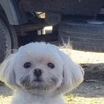 [모두드루와] 트와 <b>올킬</b> 카타르시스