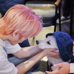 [NCT] 이거 봣어? 강아지한테 <b>모자</b>씌워주는 태용