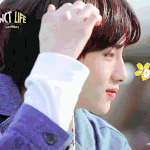울 <b>윈윈</b> 데뷔초땐