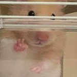 [댓글부탁해] 친구랑 짝남겹치면 어카냐 ㅍㅂ ㅠㅠㅠㅠ