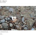[19] 국내<b>여행</b>을 가지 말아야 하는 이유