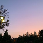 They call me a bloomer <b>or</b> just a looser