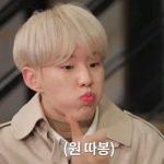 [세븐틴] 권쑤녕