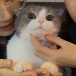 [댓글부탁해] <b>렌즈</b> 끼는 애들아.....