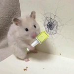 [NCT] ㅅㄷ? <b>식당</b>왔는데 꿈 나와