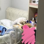 <b>이자식</b> 꿀꽈배기 노리는 거 좀 봐