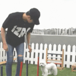 오세훈이 <b>비비</b>를 이용한다고?