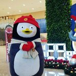 [댓글부탁해] 작년 겨울에 봤던 <b>우래</b>기 실물