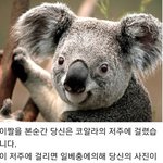 [19] 야 우리 학교 <b>확진</b>자 나옴